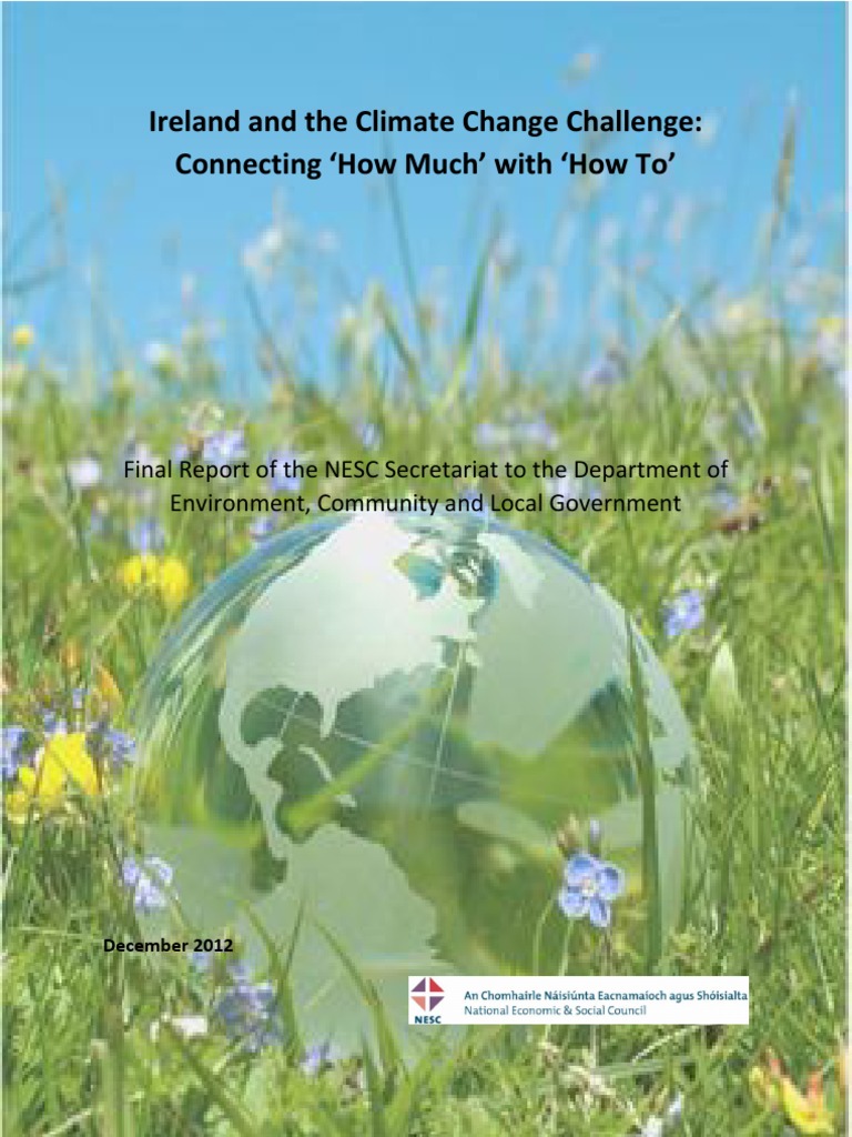 NESC Final Report PDF Politics Of Global Warming Low Carbon Economy