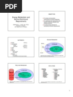 Surgical Metabolism