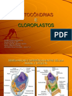 Mitocondrias Slide 101121153559 Phpapp01