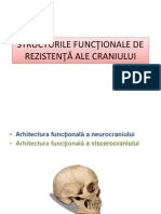 Structura rezistenta craniu