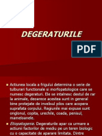 Degeraturile Si Hipotermia