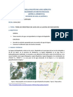 Quim Ambiental Informe