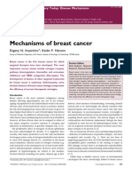 Breast Cancer Mechansm