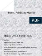Bones, Joints, Muscles