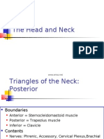 Head and Neck