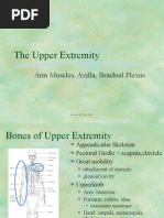 Download Upper Extremity by dr_asaleh SN14877544 doc pdf