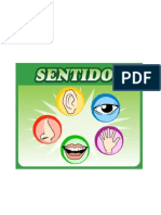 5 Sentidos