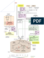 Metabolismo Lipoproteico