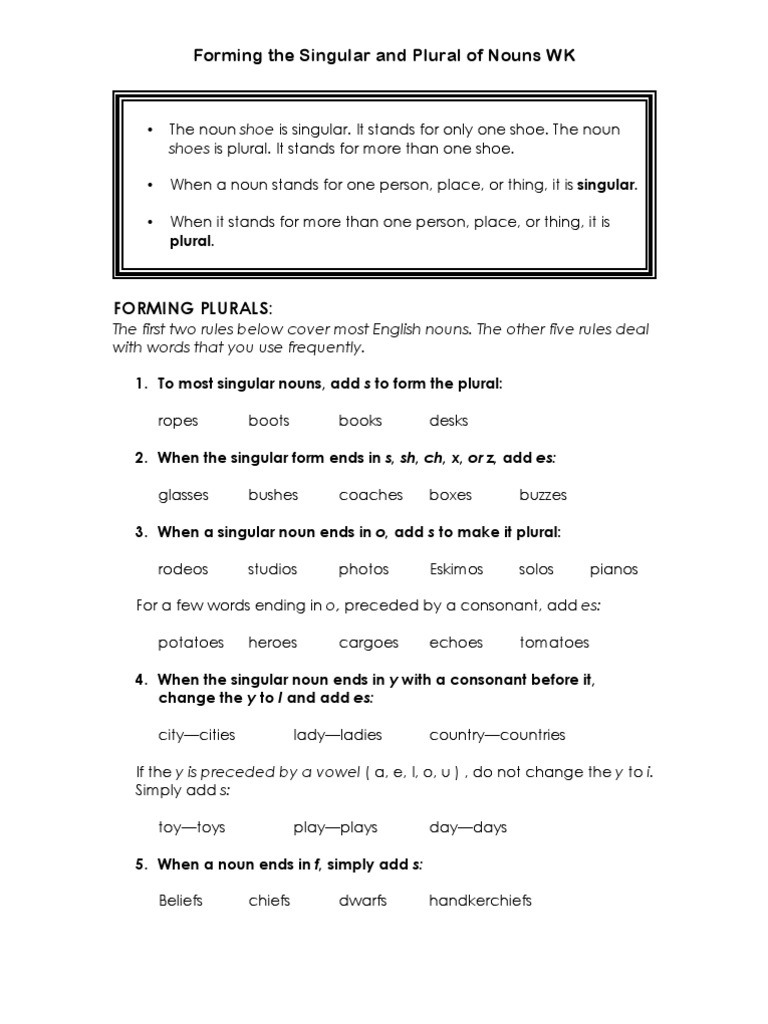 Singular &amp; Plural Nouns Notes, Examples, and Exercises