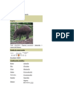 Tapir o Danta.docx