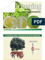 Identifica de Greening Brasil 2004 (Portugués)