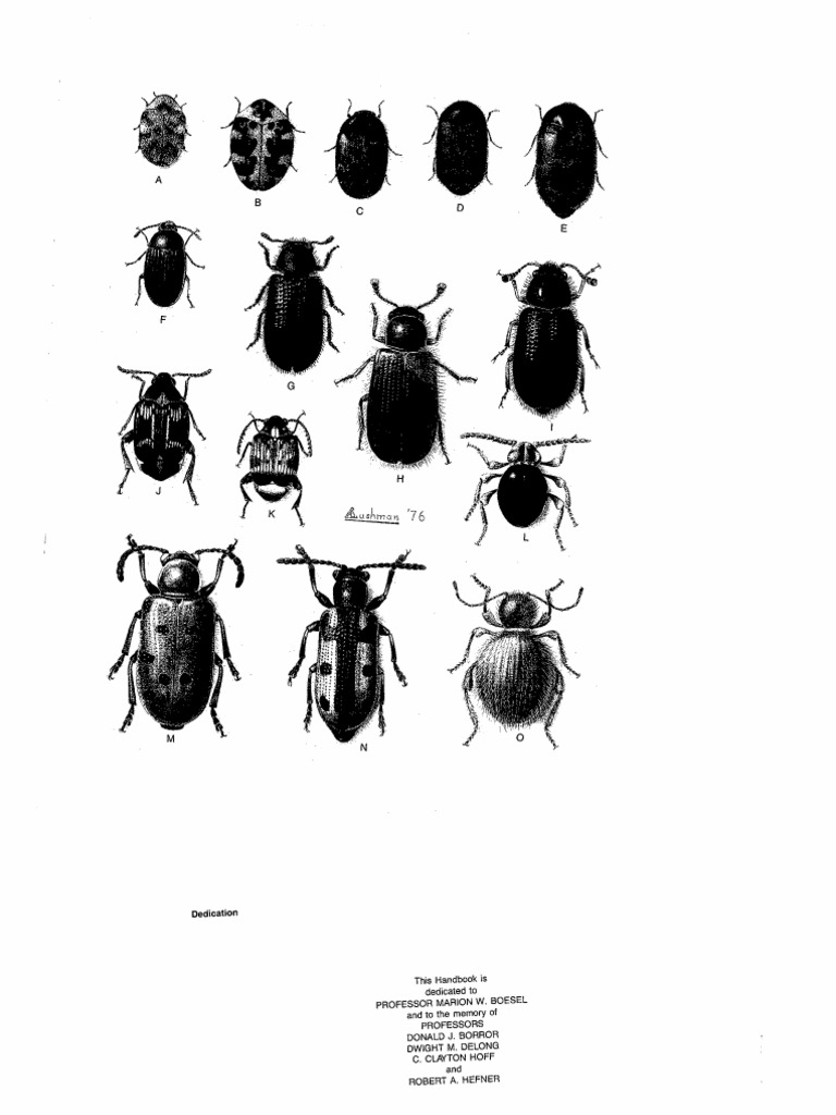 Insect and Mite Pests in Food Volume I Download Free PDF
