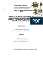 Programa de Trabajo de Chiapas Solidario Final