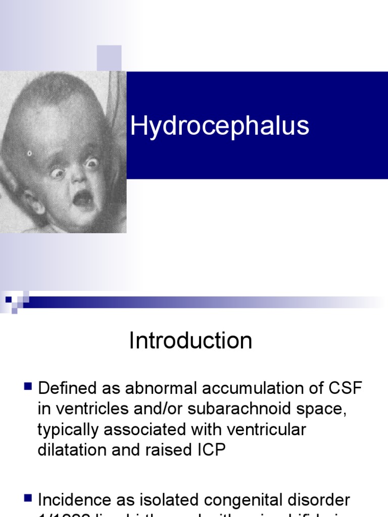 Hydrocephalus | PDF | Cerebrospinal Fluid | Brain