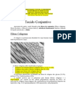 Tecido Conjuntivo-Estudo Dirigido