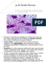 Células do Tecido Nervoso.pptx