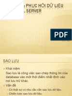 Sao Luu Va Phuc Hoi Du Lieu Trong SQL Server - 01012010