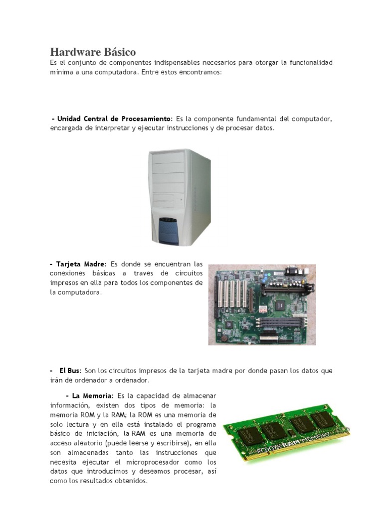Hardware Basico Hardware De La Computadora Memoria Del