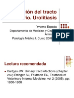 Infeccion Del Tracto Urinario Urolitiasis Med I