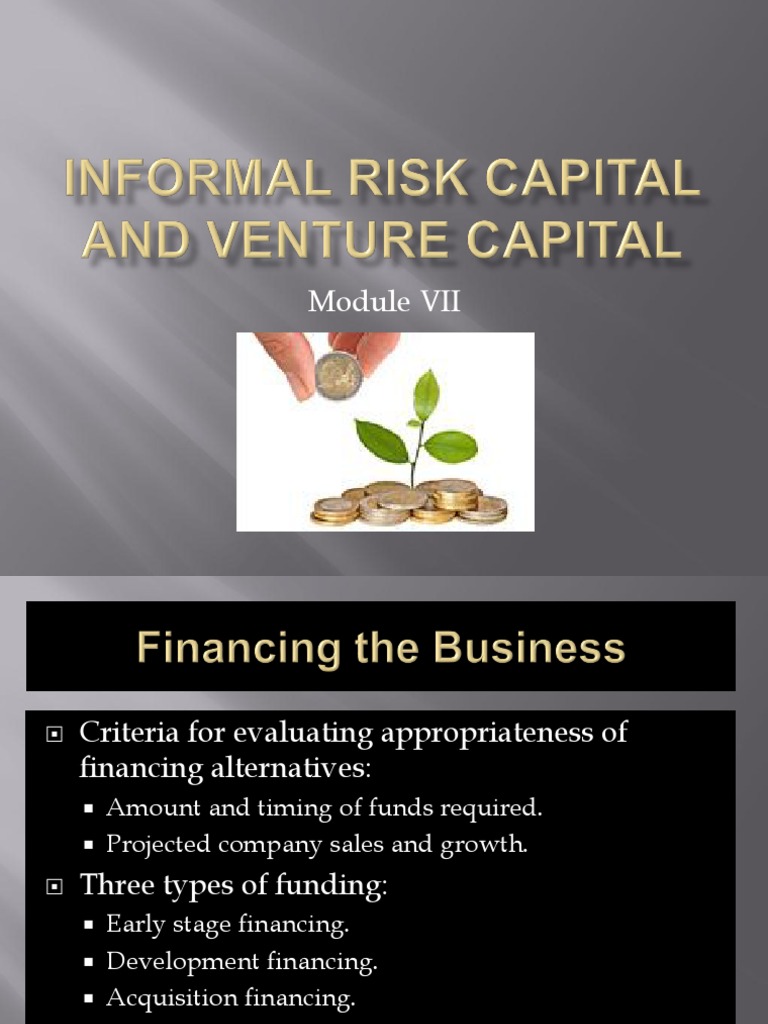 Informal Risk Capital and Venture Capital | PDF | Venture Capital ...