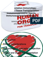 Transplantation Immunology-Cc NSG