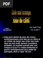 Download Cele Mai Scumpe Rase de Caini by geo003 SN148918360 doc pdf