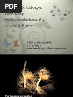 Download PERKECAMBAHANppt by Rachma El Hijja SN148918510 doc pdf