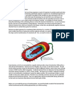 Modeling Bacterial Transformation