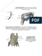 Bone Joints and Their Uses