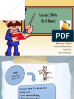 Project "Isolasi DNA Dari Buah"