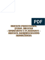 Manual de IPM Prisao Em Flagrante e Sindicancia