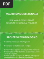 MALFORMACIONES RENALES