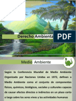 Clase 08 Derecho de Medio Ambiente