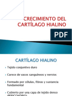 CRECIMIENTO DEL CARTÍLAGO HIALINO