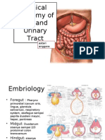 Clinical Anatomy of GIT and Urinary Tract [Autosaved]
