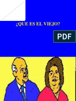 2-1- QUE ES EL VIEJO