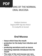 Download Variasi Normal lesi rongga mulut by Afaf Mahmoud SN149081754 doc pdf