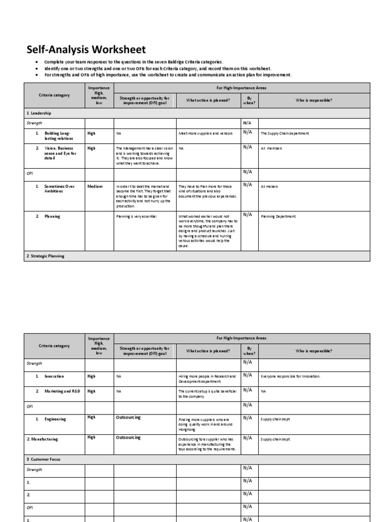CS Baldridge - Self-Analysis - Worksheet | PDF | Outsourcing | Goal