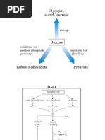 aula3-glicolise