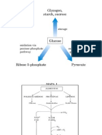 Aula3 Glicolise