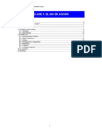 Gis PDF