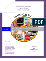 Las Moléculas Orgánicas y Su Importancia en La Nutrición