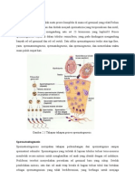 Spermatogenesis dalam 64 hari