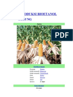 Download Bio Etanol Akhir by Lela Novi Mudiraharti SN149116148 doc pdf