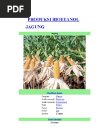 Download Bio Etanol Akhir by Lela Novi Mudiraharti SN149116148 doc pdf