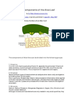 The Components of the Aloe Leaf.pdf