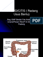 Apendiksitis