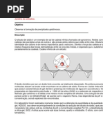 Jardins de Silicatos