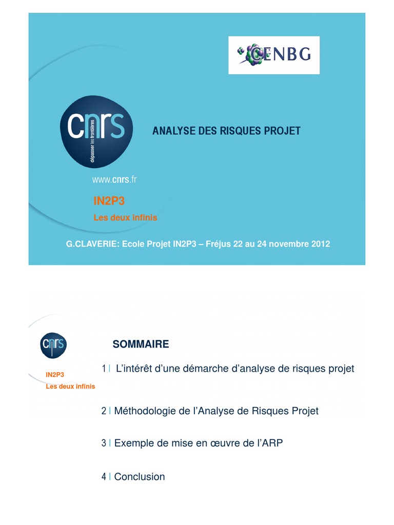 Analyse des Risques Projet IN2P3 | PDF | Risque | Gestion des risques