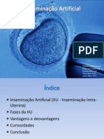 Inseminação Artificial Fil.